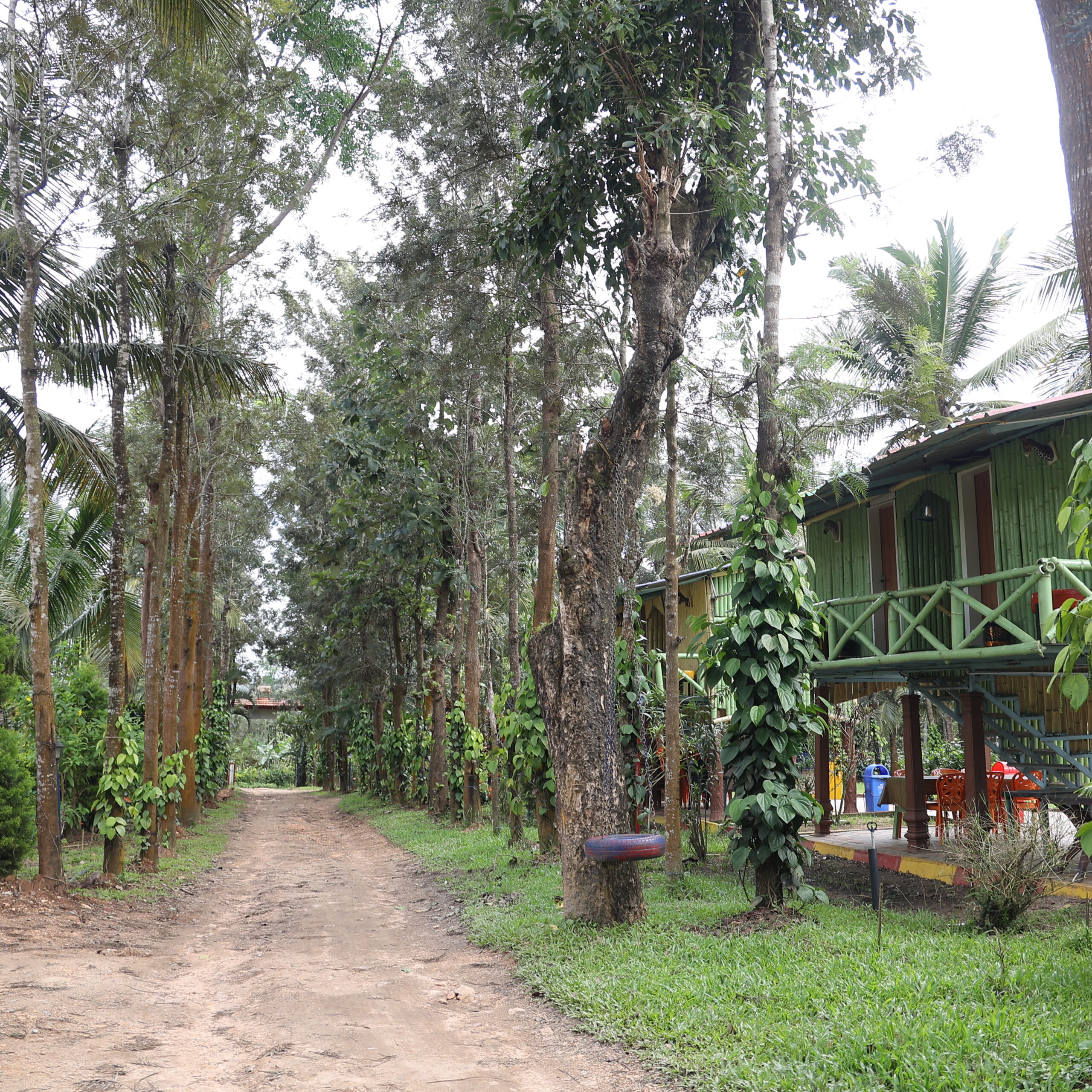 Traditional mud cottage at Farmersson Resort surrounded by greenery