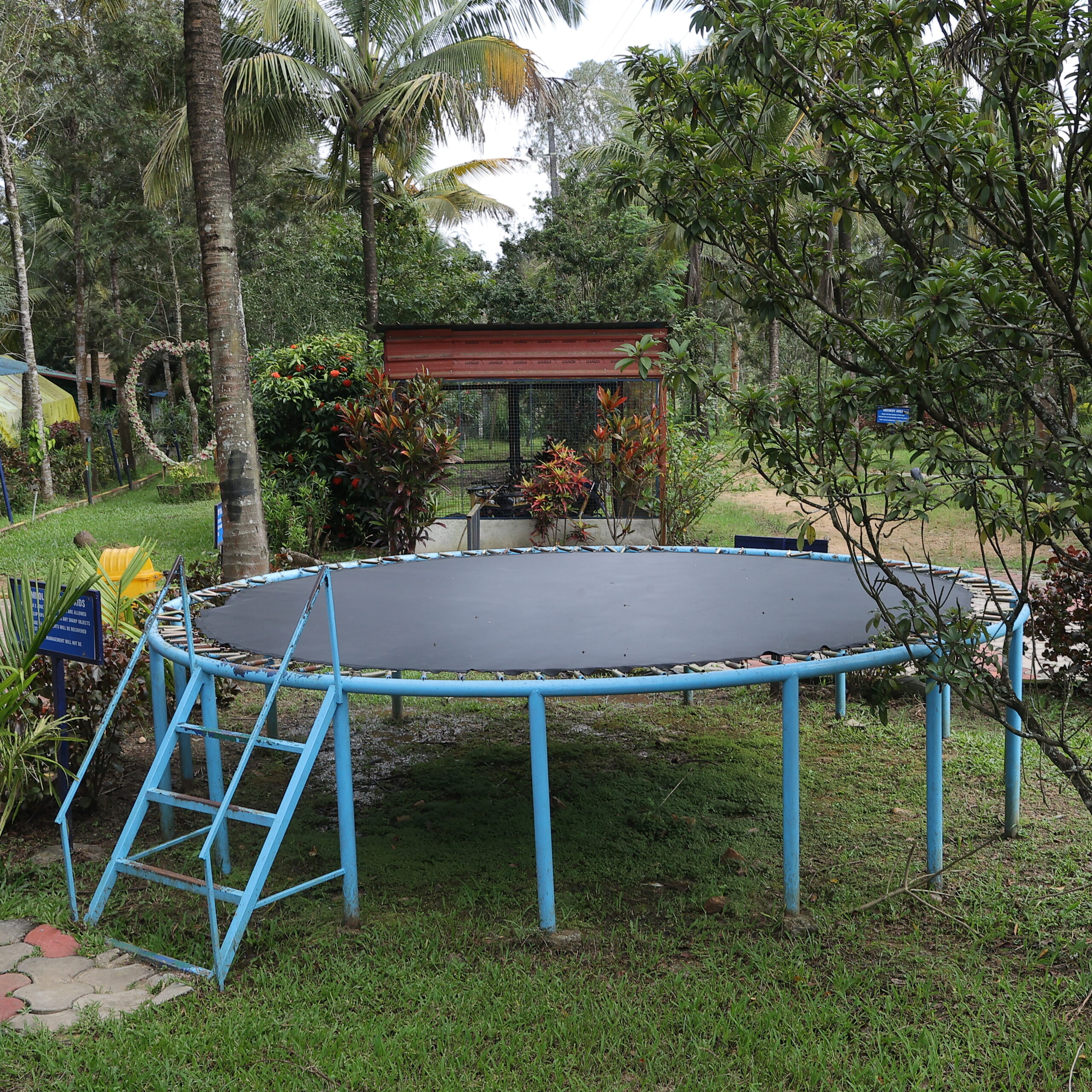 Budget stay near Sakleshpur "Farmers Son Resort – peaceful stay in Sakleshpur with mountain views and greenery"